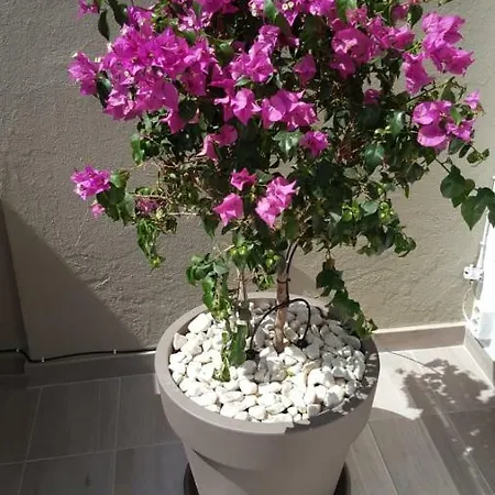 Villa Casa Leni *
