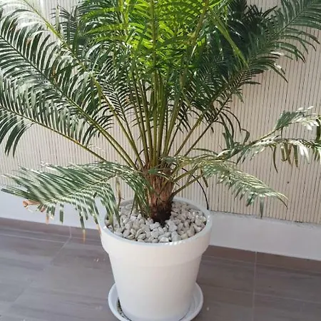 Casa Leni Maspalomas (Gran Canaria)